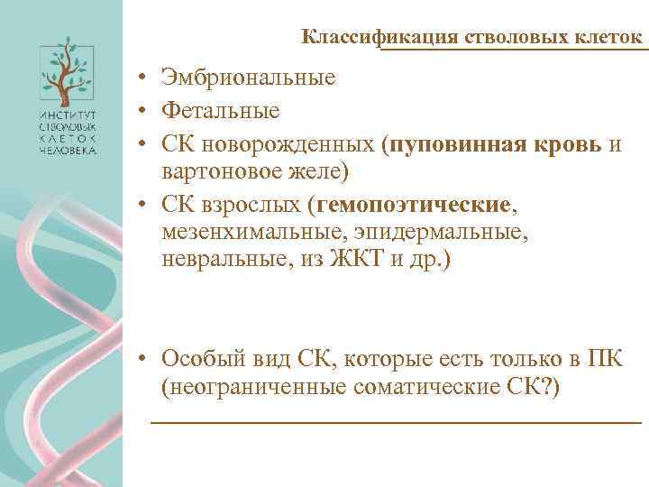 Классификация стволовых клеток • Эмбриональные • Фетальные • СК новорожденных (пуповинная кровь и вартоновое