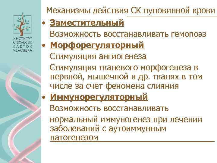 Механизмы действия СК пуповинной крови • Заместительный Возможность восстанавливать гемопоэз • Морфорегуляторный Стимуляция ангиогенеза