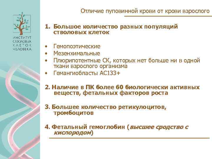 Отличие пуповинной крови от крови взрослого 1. Большое количество разных популяций стволовых клеток •