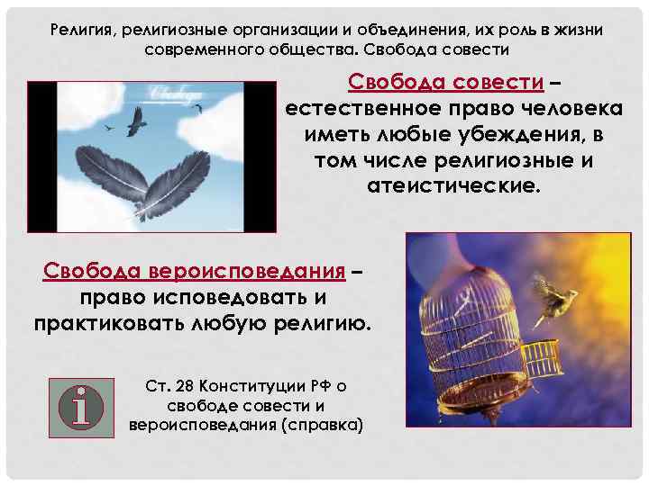 Религия, религиозные организации и объединения, их роль в жизни современного общества. Свобода совести –