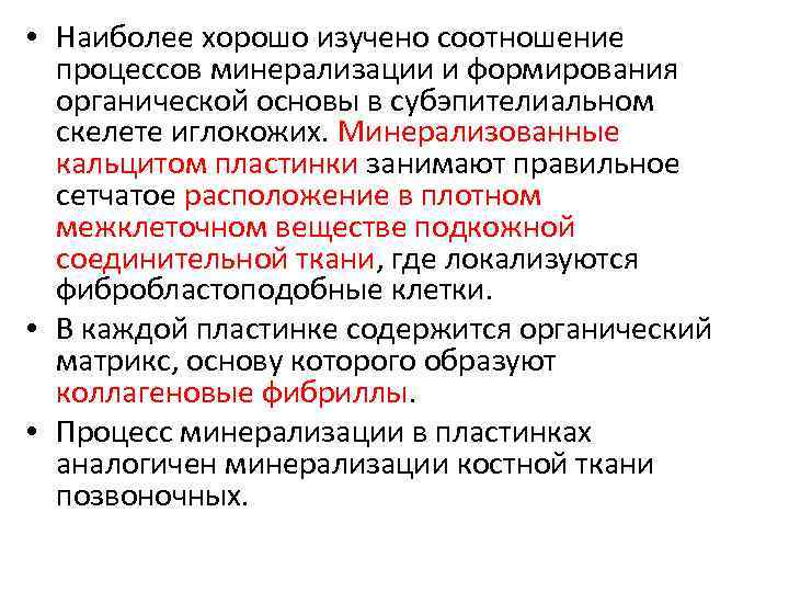  • Наиболее хорошо изучено соотношение процессов минерализации и формирования органической основы в субэпителиальном