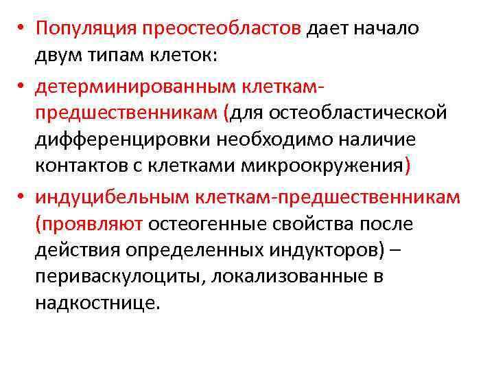  • Популяция преостеобластов дает начало двум типам клеток: • детерминированным клеткампредшественникам (для остеобластической