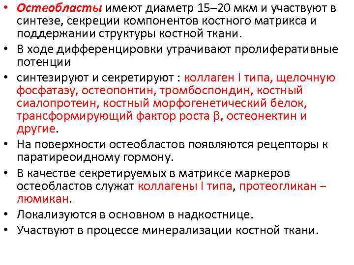  • Остеобласты имеют диаметр 15– 20 мкм и участвуют в синтезе, секреции компонентов