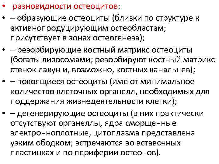  • разновидности остеоцитов: • – образующие остеоциты (близки по структуре к активнопродуцирующим остеобластам;