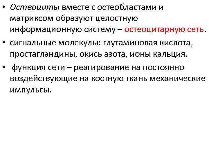  • Остеоциты вместе с остеобластами и матриксом образуют целостную информационную систему – остеоцитарную