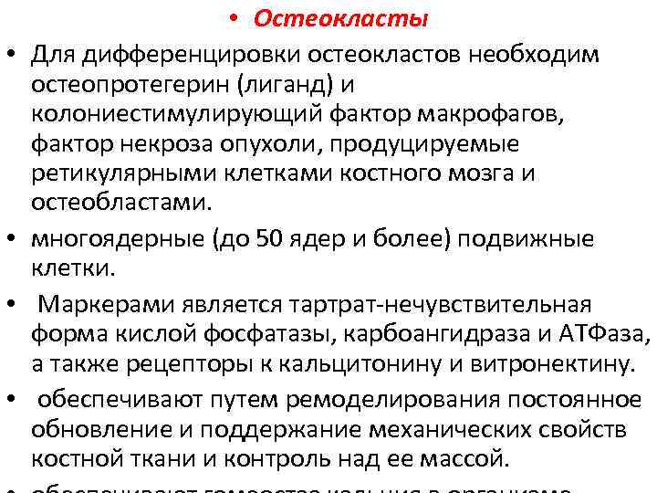  • • • Остеокласты Для дифференцировки остеокластов необходим остеопротегерин (лиганд) и колониестимулирующий фактор