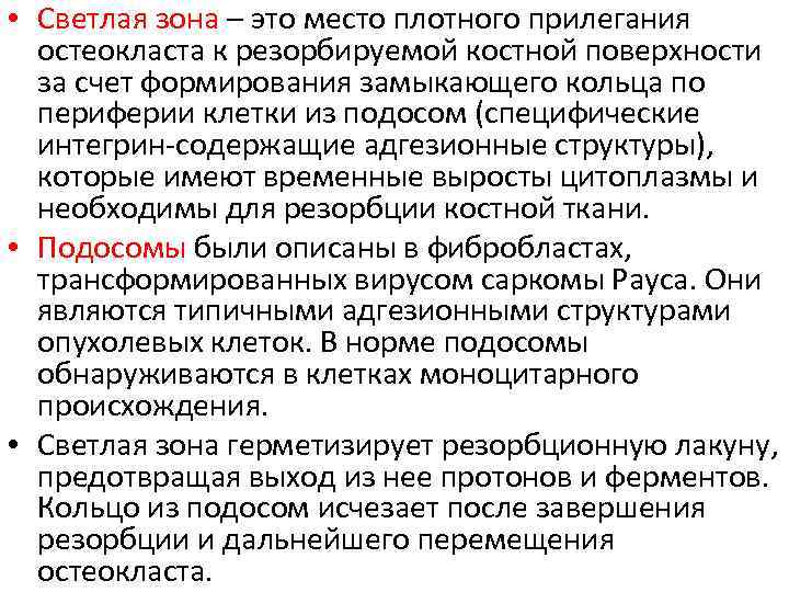  • Светлая зона – это место плотного прилегания остеокласта к резорбируемой костной поверхности