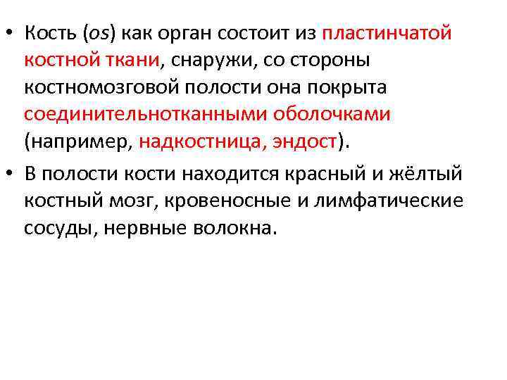  • Кость (os) как орган состоит из пластинчатой костной ткани, снаружи, со стороны