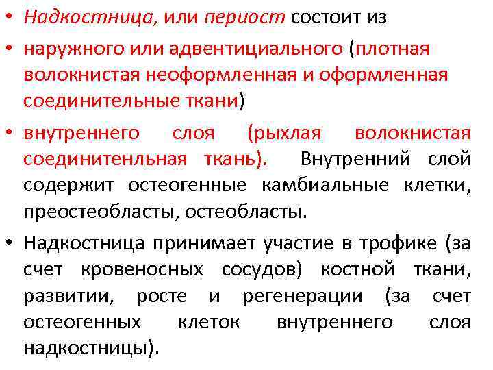  • Надкостница, или периост состоит из • наружного или адвентициального (плотная волокнистая неоформленная