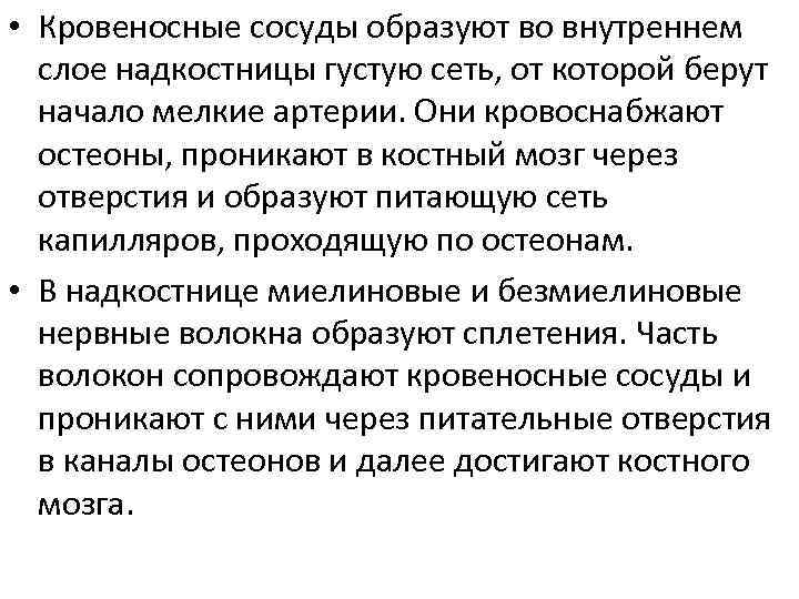  • Кровеносные сосуды образуют во внутреннем слое надкостницы густую сеть, от которой берут