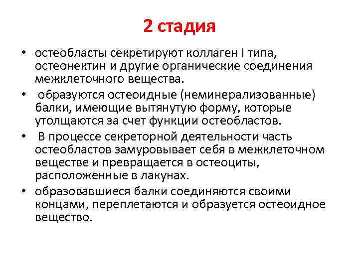 2 стадия • остеобласты секретируют коллаген I типа, остеонектин и другие органические соединения межклеточного