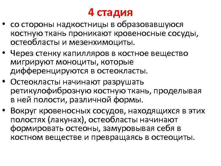 4 стадия • со стороны надкостницы в образовавшуюся костную ткань проникают кровеносные сосуды, остеобласты