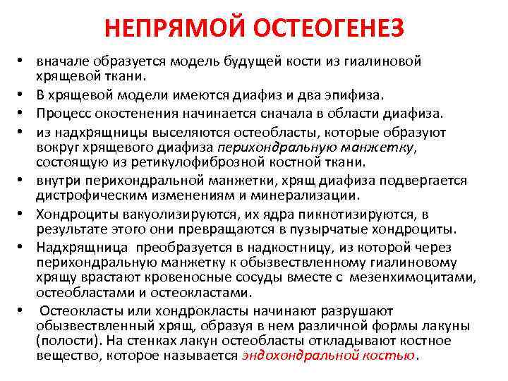 Непрямой остеогенез