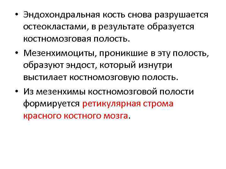  • Эндохондральная кость снова разрушается остеокластами, в результате образуется костномозговая полость. • Мезенхимоциты,