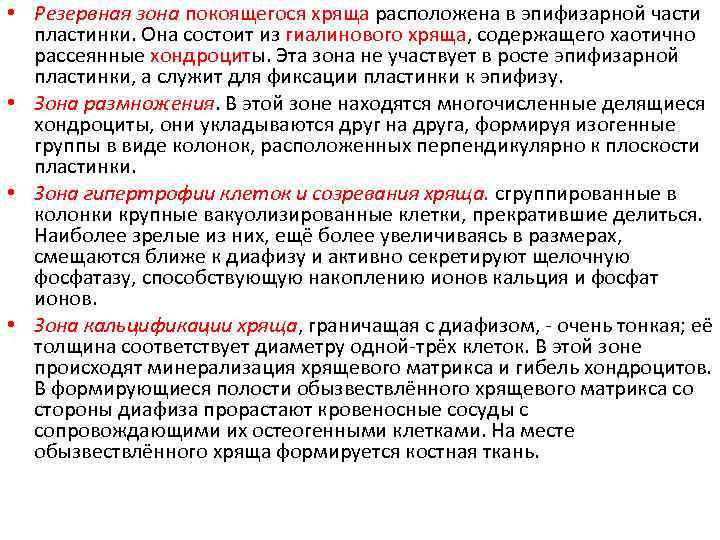  • Резервная зона покоящегося хряща расположена в эпифизарной части пластинки. Она состоит из