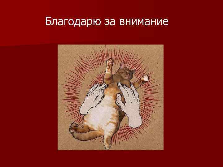 Благодарю за внимание 