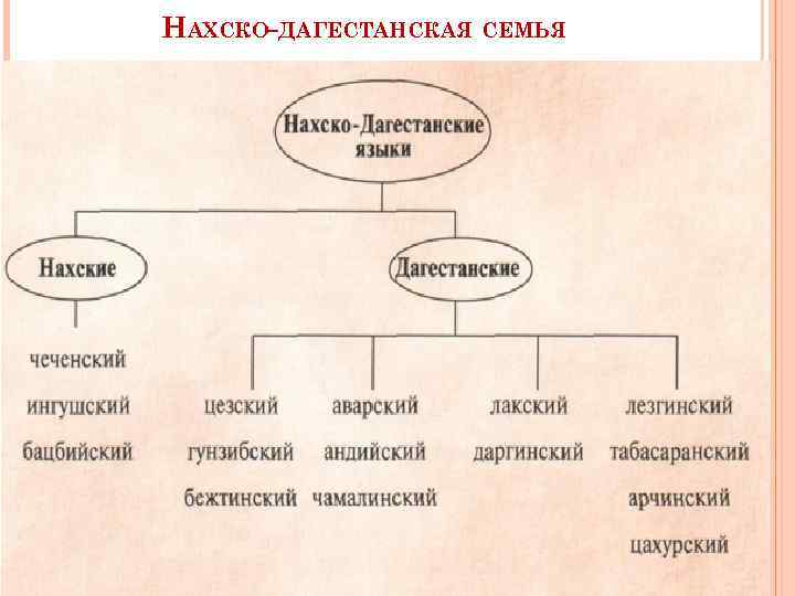 Кавказская языковая семья презентация