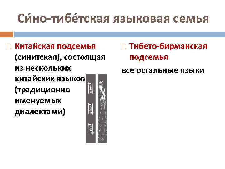 Китайско тибетская языковая семья