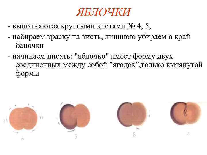 ЯБЛОЧКИ - выполняются круглыми кистями № 4, 5, - набираем краску на кисть, лишнюю