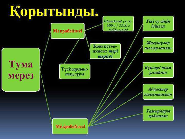 Қорытынды. Макробейнесі Тума мерез Салмағы: (қ. ж. 600 г ) 2250 г дейін өседі
