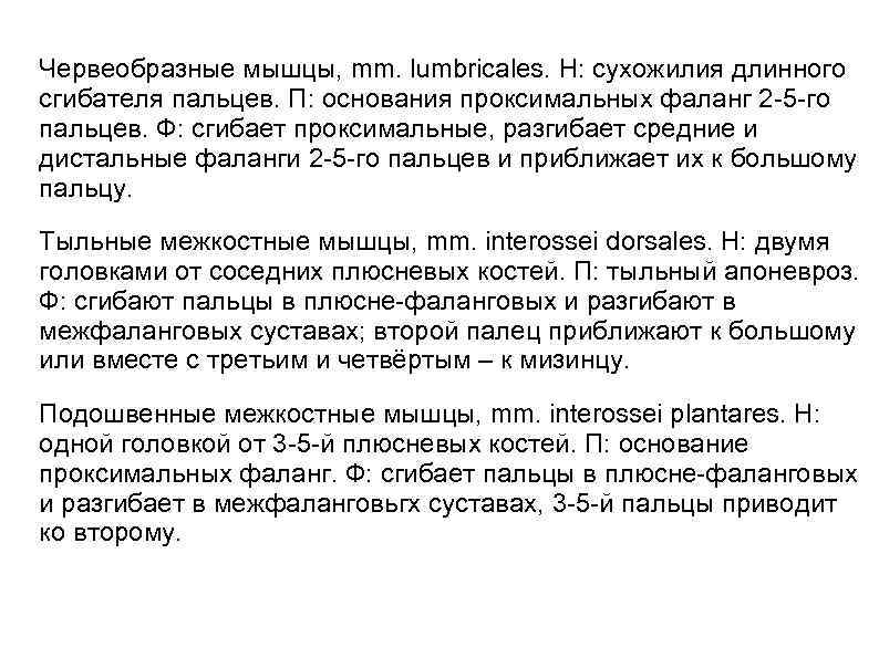 Червеобразные мышцы, mm. lumbricales. Н: сухожилия длинного сгибателя пальцев. П: основания проксимальных фаланг 2