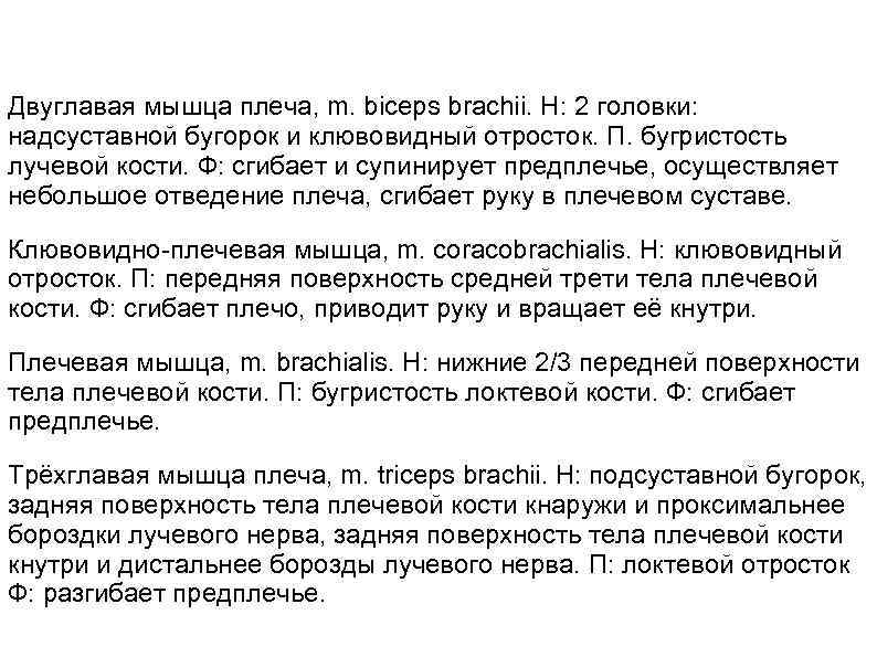 Двуглавая мышца плеча, m. biceps brachii. Н: 2 головки: надсуставной бугорок и клювовидный отросток.