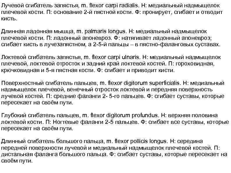 Лучевой сгибатель запястья, m. flexor carpi radialis. Н: медиальный надмыщелок плечевой кости. П: основание