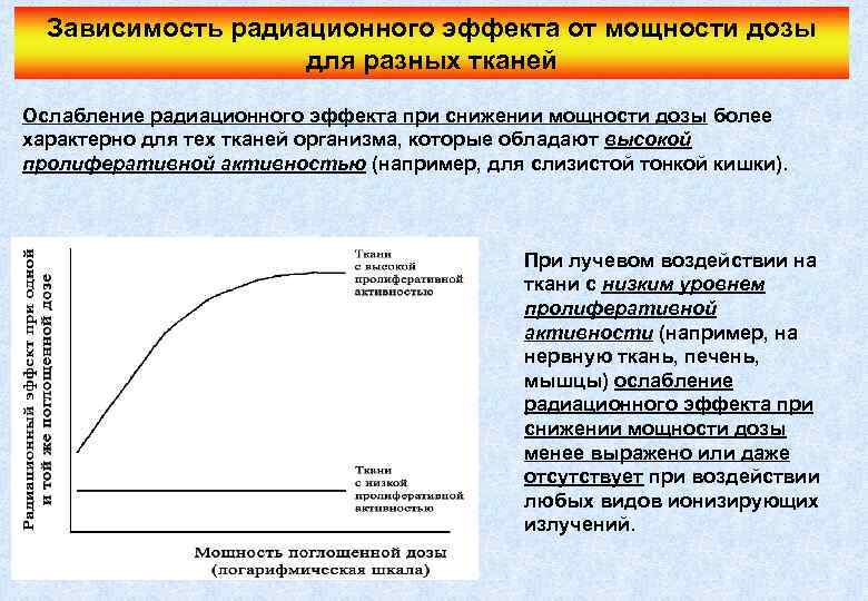Зависимость радиационного эффекта от мощности дозы для разных тканей Ослабление радиационного эффекта при снижении