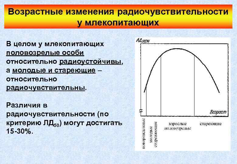 Возрастные изменения радиочувствительности у млекопитающих В целом у млекопитающих половозрелые особи относительно радиоустойчивы, а