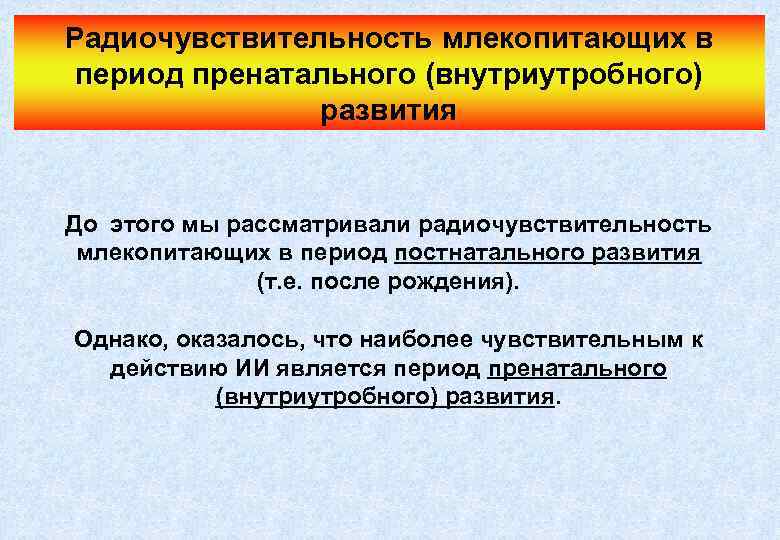 Радиочувствительность млекопитающих в период пренатального (внутриутробного) развития До этого мы рассматривали радиочувствительность млекопитающих в