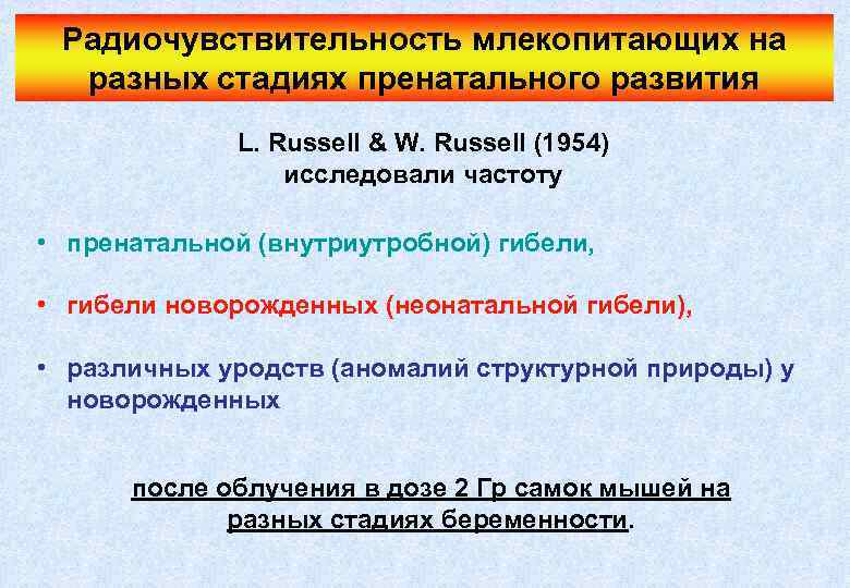Радиочувствительность млекопитающих на разных стадиях пренатального развития L. Russell & W. Russell (1954) исследовали