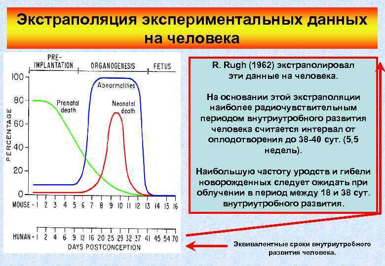 Экстраполяция экспериментальных данных на человека R. Rugh (1962) экстраполировал эти данные на человека. На