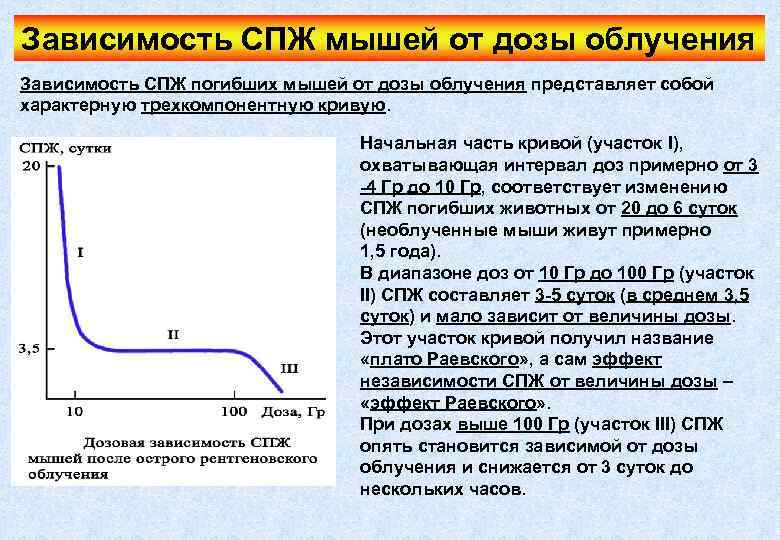 Зависимость СПЖ мышей от дозы облучения Зависимость СПЖ погибших мышей от дозы облучения представляет