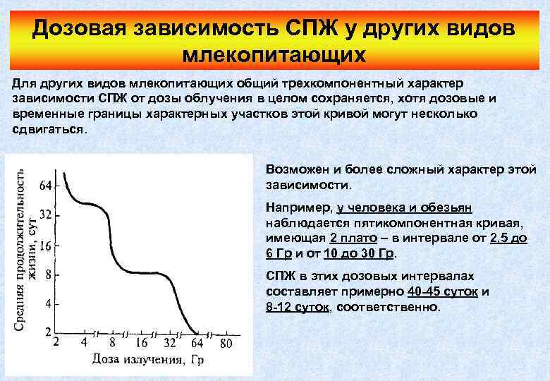 Дозовая зависимость СПЖ у других видов млекопитающих Для других видов млекопитающих общий трехкомпонентный характер