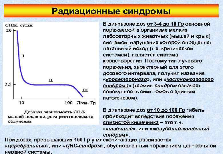 Радиационные синдромы В диапазоне доз от 3 -4 до 10 Гр основной поражаемой в
