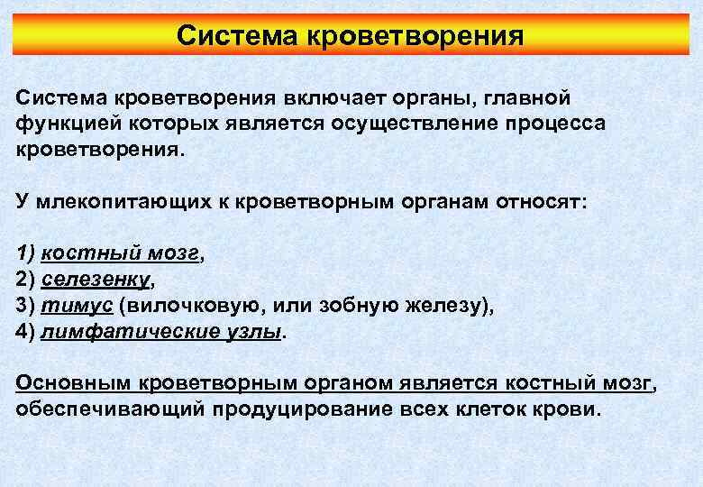 Система кроветворения включает органы, главной функцией которых является осуществление процесса кроветворения. У млекопитающих к