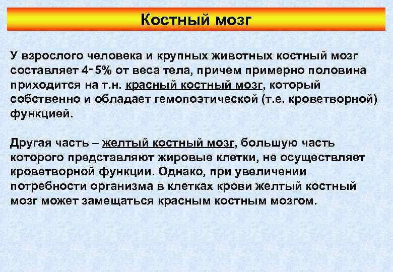 Костный мозг У взрослого человека и крупных животных костный мозг составляет 4‑ 5% от