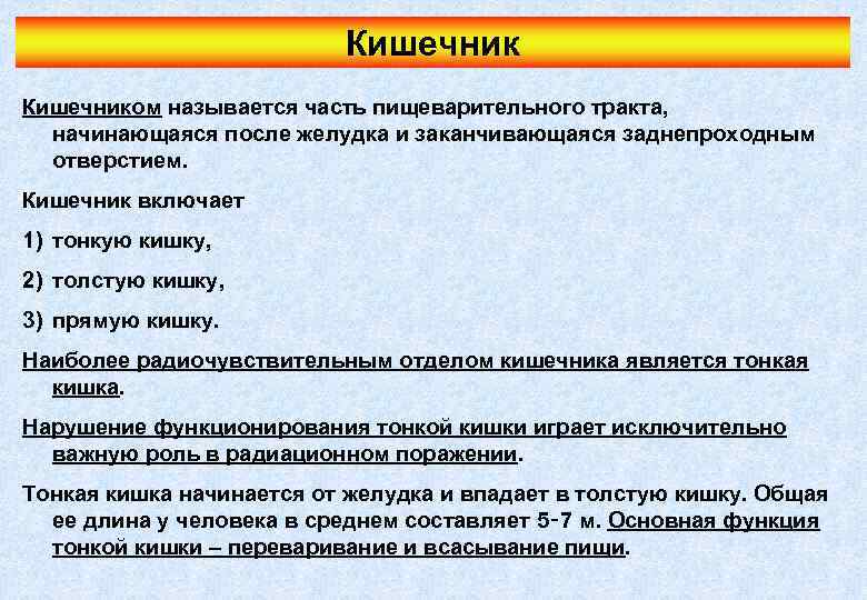 Кишечником называется часть пищеварительного тракта, начинающаяся после желудка и заканчивающаяся заднепроходным отверстием. Кишечник включает