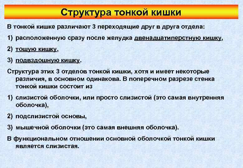 Структура тонкой кишки В тонкой кишке различают 3 переходящие друг в друга отдела: 1)