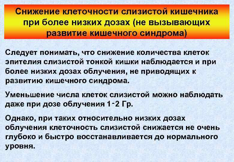 Снижение клеточности слизистой кишечника при более низких дозах (не вызывающих развитие кишечного синдрома) Следует