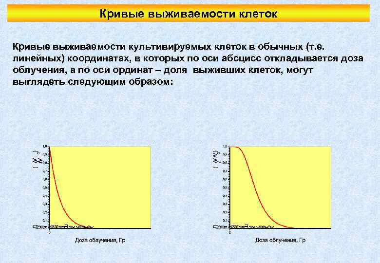 Кривые выживаемости клеток Кривые выживаемости культивируемых клеток в обычных (т. е. линейных) координатах, в