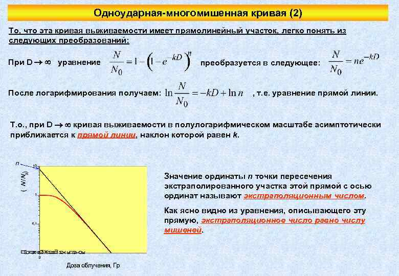 Одноударная-многомишенная кривая (2) То, что эта кривая выживаемости имеет прямолинейный участок, легко понять из
