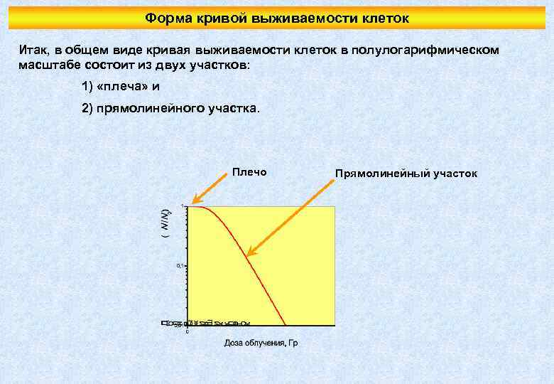 Форма кривой выживаемости клеток Итак, в общем виде кривая выживаемости клеток в полулогарифмическом масштабе