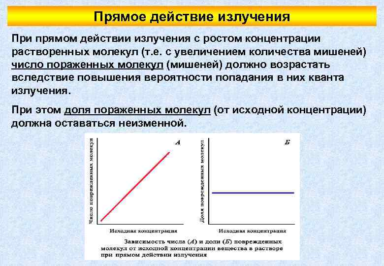 Прямое действие излучения При прямом действии излучения с ростом концентрации растворенных молекул (т. е.