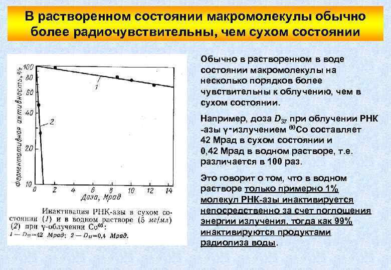 В растворенном состоянии макромолекулы обычно более радиочувствительны, чем сухом состоянии Обычно в растворенном в