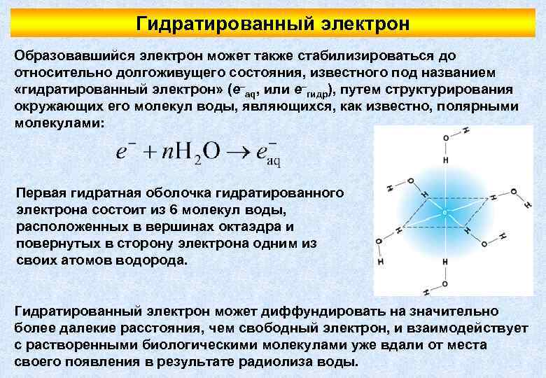 Гидратированный электрон Образовавшийся электрон может также стабилизироваться до относительно долгоживущего состояния, известного под названием