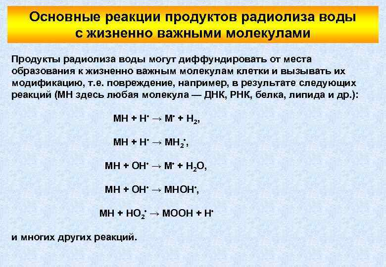 Основные реакции продуктов радиолиза воды с жизненно важными молекулами Продукты радиолиза воды могут диффундировать