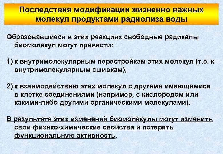 Последствия модификации жизненно важных молекул продуктами радиолиза воды Образовавшиеся в этих реакциях свободные радикалы