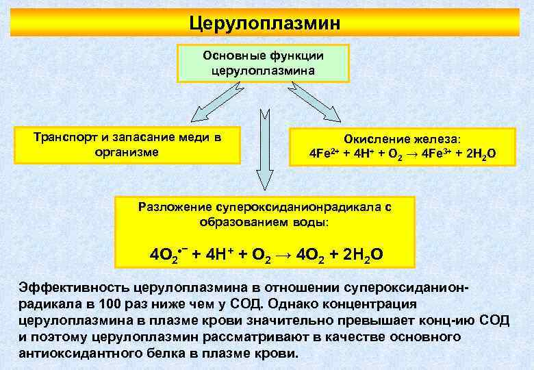 Церулоплазмин Основные функции церулоплазмина Транспорт и запасание меди в организме Окисление железа: 4 Fe