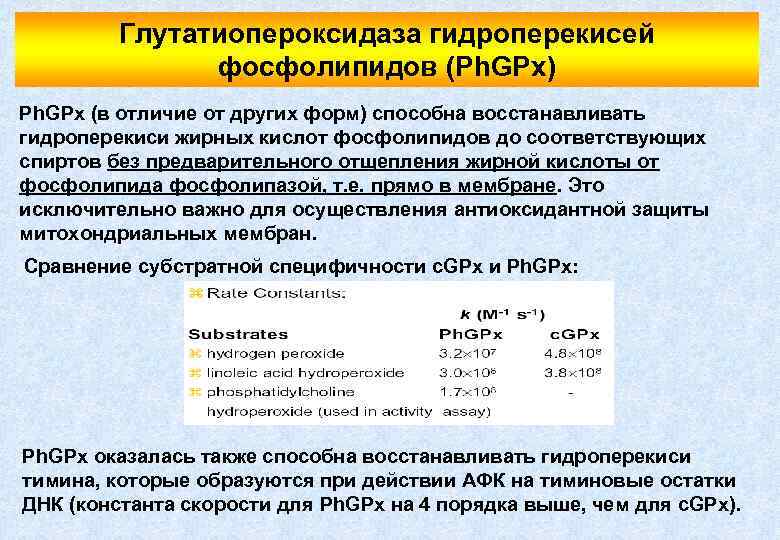 Глутатиопероксидаза гидроперекисей фосфолипидов (Ph. GPx) Ph. GPx (в отличие от других форм) способна восстанавливать